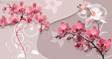 Фотообои De-Art 3Д орхидеи